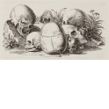 Vanitas (Still life with skulls)