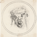 Grotesque head of a satyr