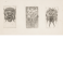 Three grotesque masks